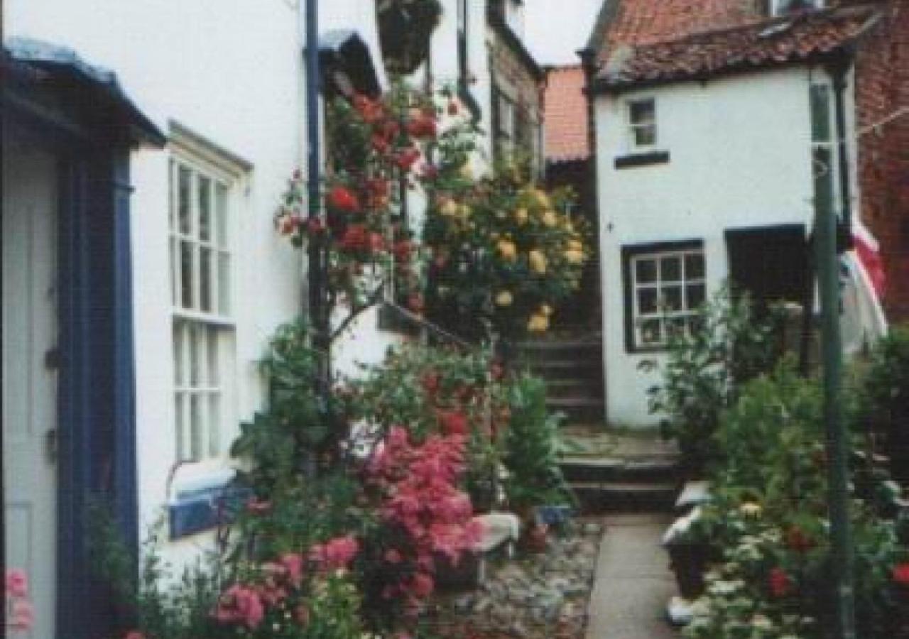 Alice Cottage โรบินฮูดส์เบย์ ภายนอก รูปภาพ